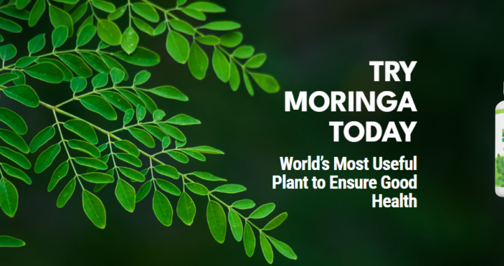 MORINGA MAGIC – Moringa Magic Review | Moringa Magic really works?